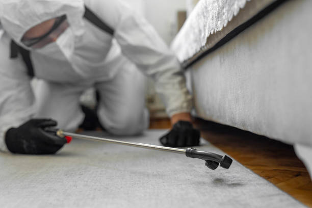 Professional Termite Control technician working in Sigourney, IA