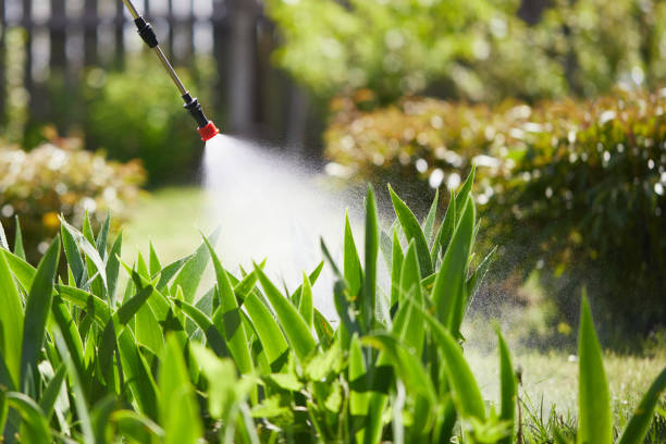 24/7 Emergency Termite Control experts in Sigourney, IA