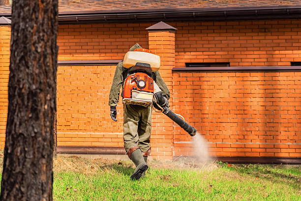 Trusted Termite Control service in Sigourney, IA - Nex Pest Control